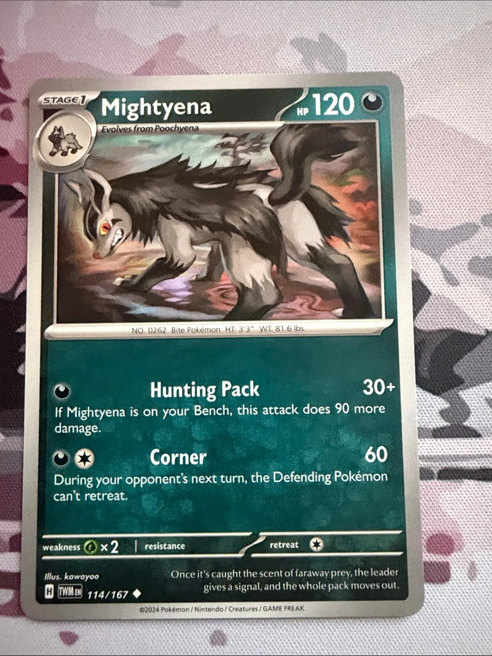 Poochyena & Mightyena Evolution Collection Lot | 5 Pokémon Cards | ✨5/$25✨